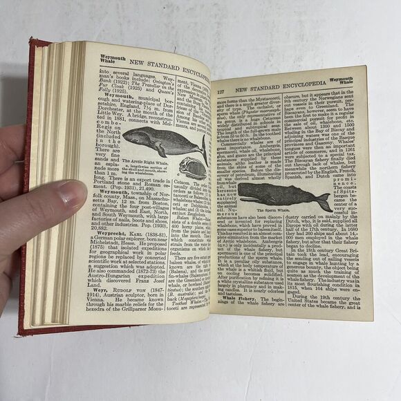 Funk n Wagnalls New Standard Encyclopedia 1931 1934 Vol XXV Washington to Zyzyn - Picture 8 of 15